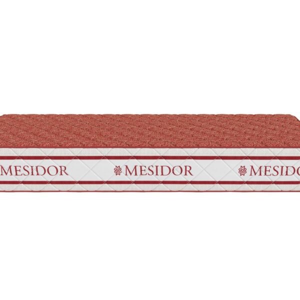 Mesidor arene richbond